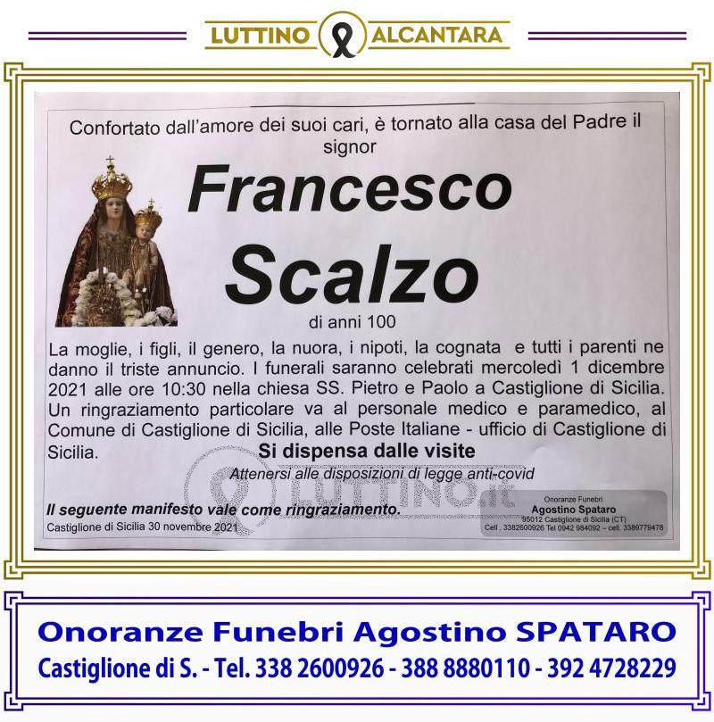 Francesco  Scalzo 